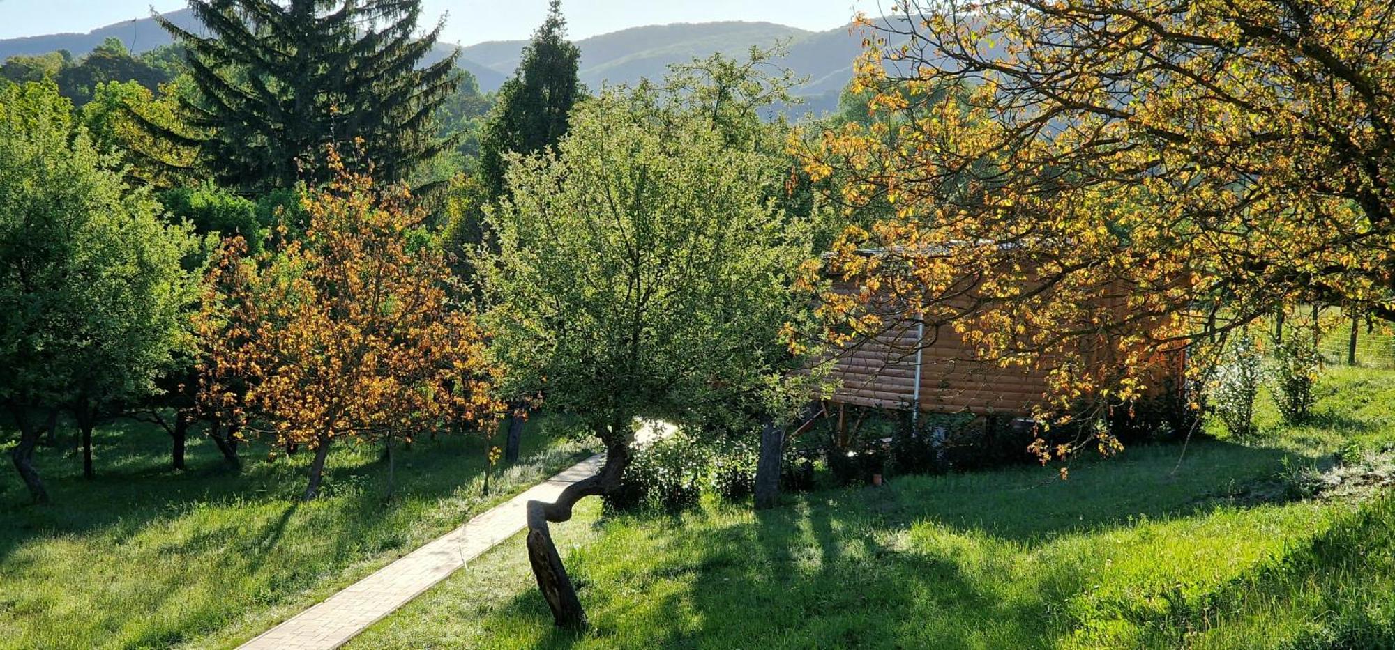 Reteskert Vendeghaz Es Apartman Белапатфальва Экстерьер фото